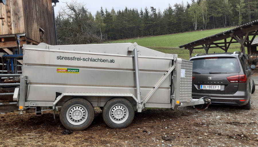 stressfrei schlachten